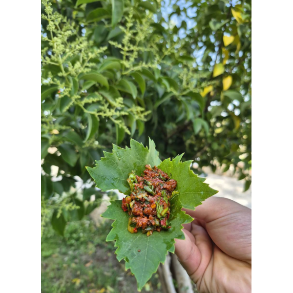 KISIR - SARMA İÇİ TARİFİ