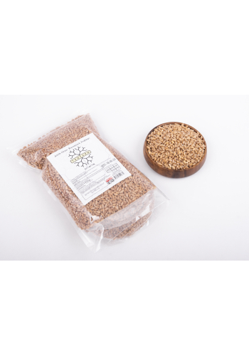 Amik Ovası Karakılçık Buğdayı (1 KG)